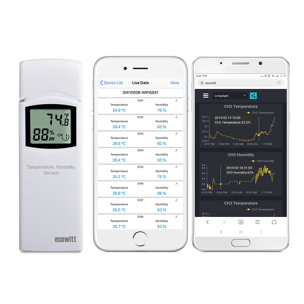 EcoWitt GW1002 - Meteo System